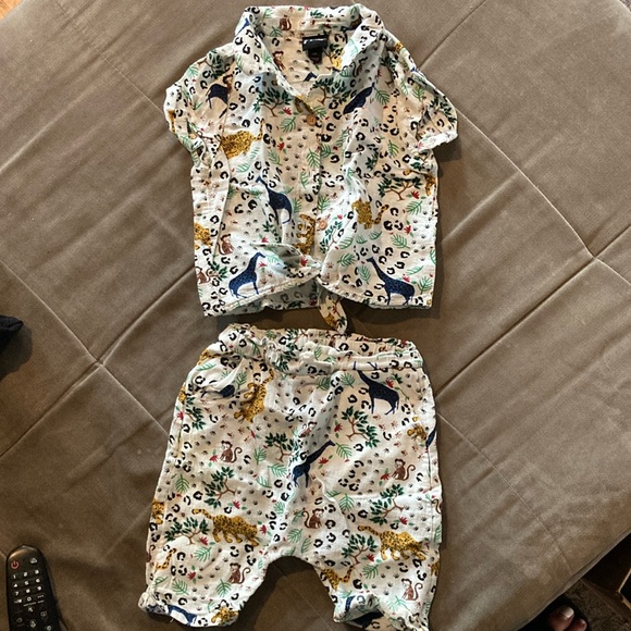 Art Class 12M safari set. Adorable button up collared shirt with matching shorts - Picture 1 of 6